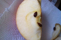 Appleseeds